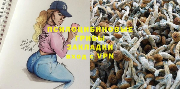 гашик Балахна
