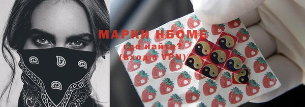 гашик Балахна